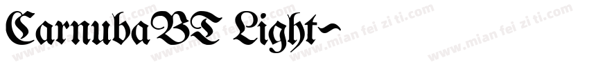 CarnubaBT Light字体转换